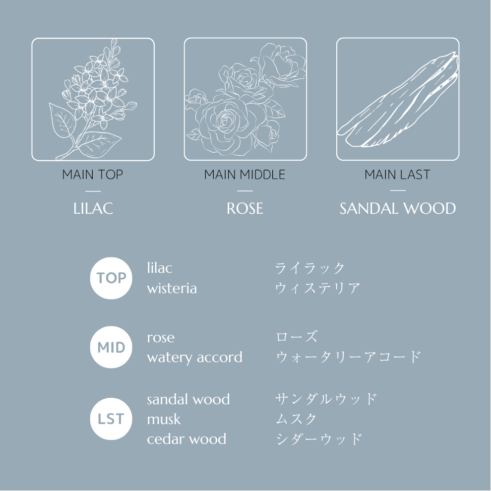 Enlight Hand Serum CF (Hand Serum) -Clear Free(Non Scent)-