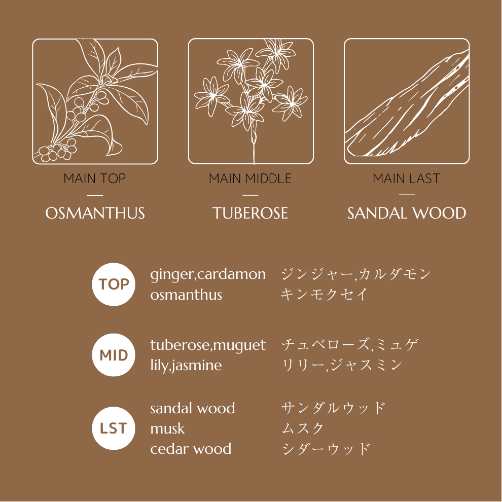 Enlight Hand Serum CF (Hand Serum) -Clear Free(Non Scent)-