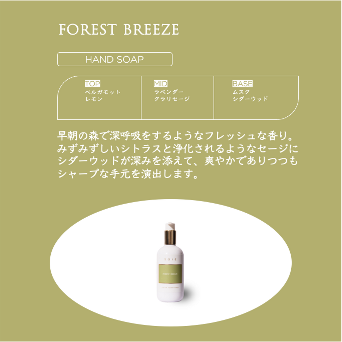 
                  
                    <tc>Moist fragrance Hand & Body soap -Forest Breeze-</tc>
                  
                